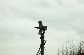 S-300 site