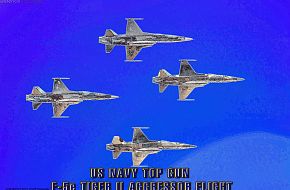 US Navy F-5e Tiger II Top Gun Aggressor Fighters