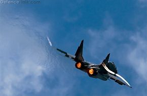 Polish Air Force Mig 29