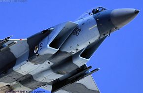 Aggressor F-15C Eagle Fighter