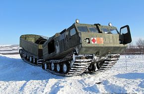 DT-10P Vityaz