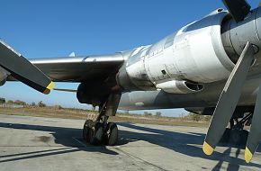 Tu-95MS