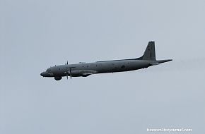 Il-38