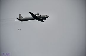 Il-38