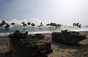 Foal Eagle 2014 - Military Exercise USA and South Korea Marines