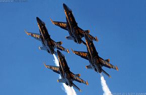 US Navy Blue Angels F/A-18C Hornet