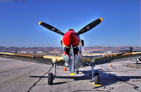 US Army Air Corps P-40 Warhawk Fighter