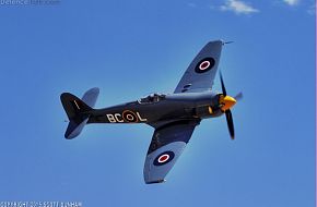 RN Sea Fury Fighter