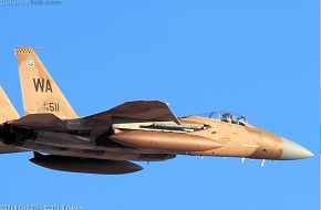 USAF F-15C Eagle Aggressor Fighter