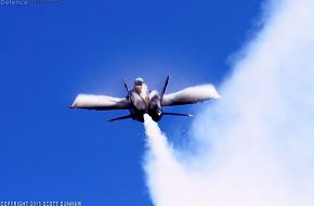 US Navy Blue Angels F/A-18 Hornet