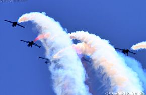 Patriots Flight Demonstration Team L-39 Albatros