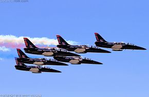 Patriots Flight Demonstration Team L-39 Albatros