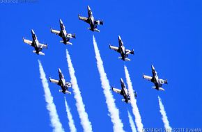 Breitling Jet Team - L-39 Albatros