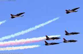 Patriots Flight Demonstration Team L-39 Albatros