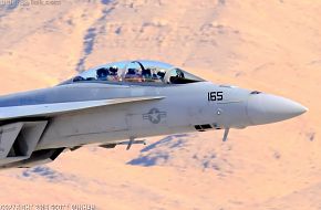 US Navy F/A-18F Super Hornet Fighter