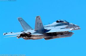 US Navy EA-18G Growler Electronic Attack Aircraft