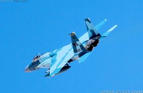 USAF F-15C Eagle Aggressor Fighter