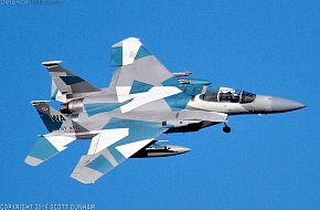 USAF F-15C Eagle Aggressor Fighter