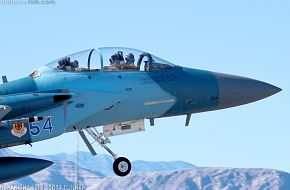 USAF F-15D Eagle Aggressor Fighter