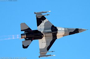 USAF F-16 Falcon Aggressor Squadron Fighter