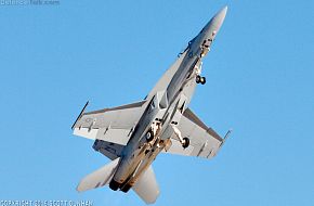 US Navy F/A-18F Super Hornet Fighter