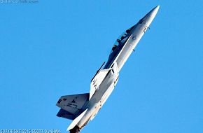 US Navy F/A-18F Super Hornet Fighter