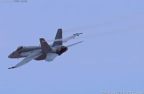 US Navy F/A-18F Super Hornet Fighter