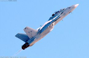 US Navy F/A-18F Super Hornet Fighter