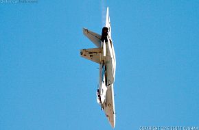 US Navy F/A-18F Super Hornet Fighter