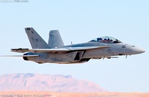 US Navy F/A-18F Super Hornet Fighter