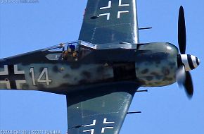 Luftwaffe FW 190 Wurger Fighter Aircraft