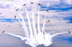 CAF Snowbirds Flight Demonstration Team