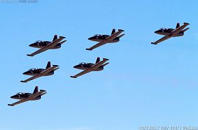 Patriots Flight Demonstration Team L39 Albatross
