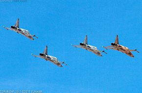 USMC F-5N Tiger II Aggressor Fighter Aircraft