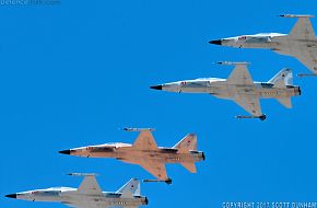 USMC F-5N Tiger II Aggressor Fighter Aircraft