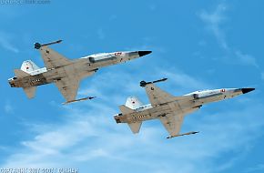 USMC F-5N Tiger II Aggressor Fighter Aircraft