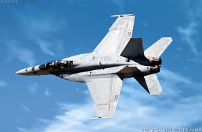 US Navy F/A-18F Super Hornet Fighter