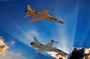 USMC F-5N Tiger II Aggressor Fighter Aircraft