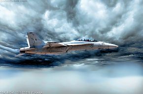 US Navy F/A-18F Super Hornet Fighter