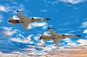 USMC F-5N Tiger II Aggressor Fighter Aircraft