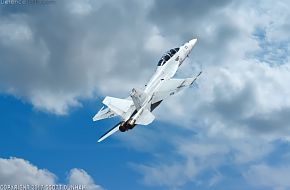 US Navy F/A-18F Super Hornet Fighter