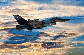 USAF F-16 Falcon Aggressor Squadron Fighter