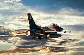 USAF F-16 Falcon Aggressor Squadron Fighter