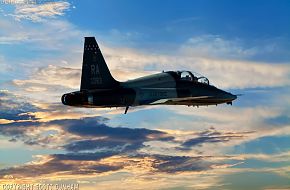 USAF T-38 Talon Jet Trainer Aircraft