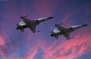 USMC F-5N Tiger II Aggressor Fighter Aircraft