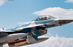 USAF F-16 Viper Aggressor Squadron Fighter