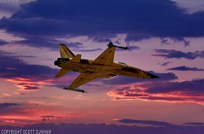 USMC F-5N Tiger II Aggressor Fighter Aircraft