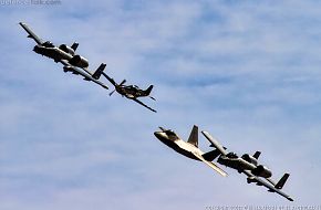 USAF Heritage Flight-F-22A Raptor, A-10 Thunderbolt II and P-51 Mustang