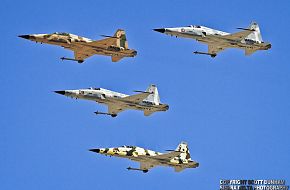 USMC F-5N Tiger II Aggressor Fighter Aircraft