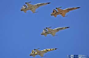 USMC F-5N Tiger II Aggressor Fighter Aircraft